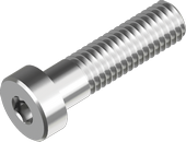 Low Head Hex Socket Cap Screws